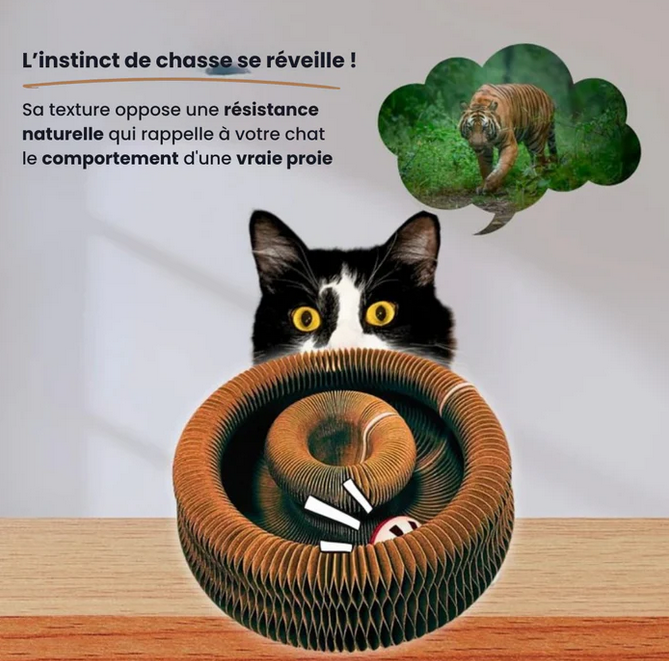 KittySpin™ | Griffoir interactif pour chats
