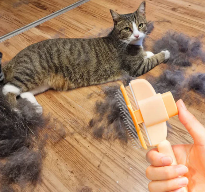 SmartBrush™ – Brosse anti-poils morts