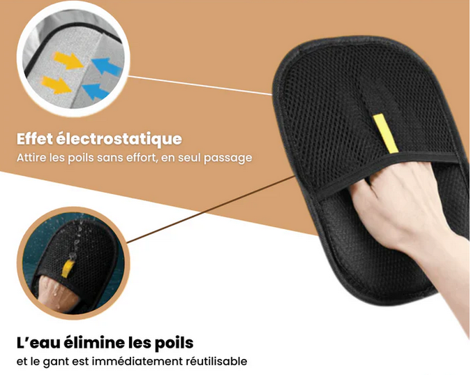 Gant Anti-Poils Réutilisable et Écologique