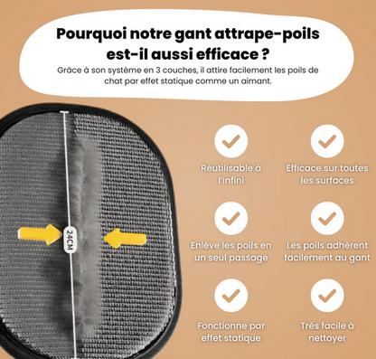 Gant Anti-Poils Réutilisable et Écologique
