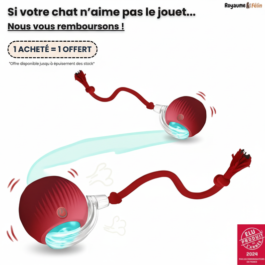 SmartBall™ - Jouet Interactif Chat