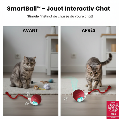 SmartBall™ - Jouet Interactif Chat