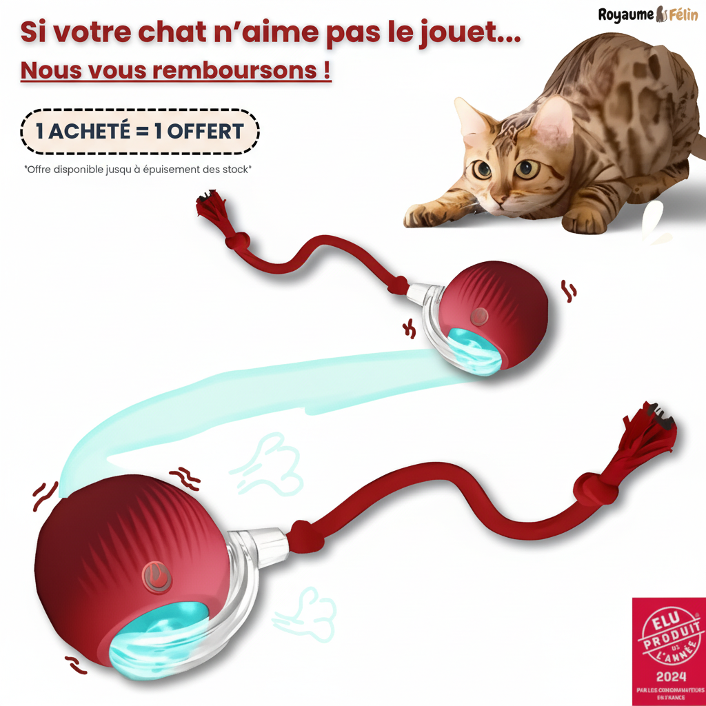 SmartBall™ - Jouet Interactif Chat